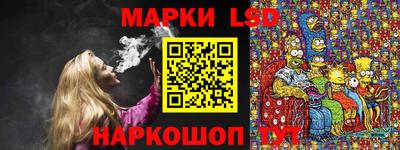 гашик Можга