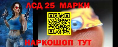 гашик Можга